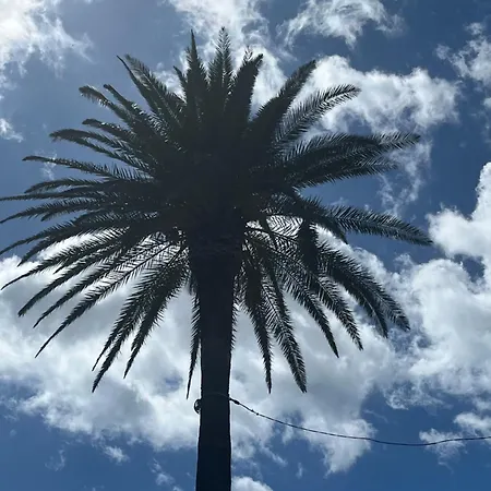 Rdc Grande Terrasse A 200m De La Au Calme * Cavalaire-sur-Mer